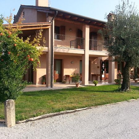 Agriturismo Morgan Montebelluna Extérieur photo