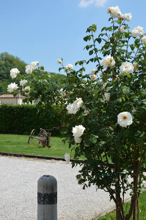 Agriturismo Morgan Montebelluna Extérieur photo