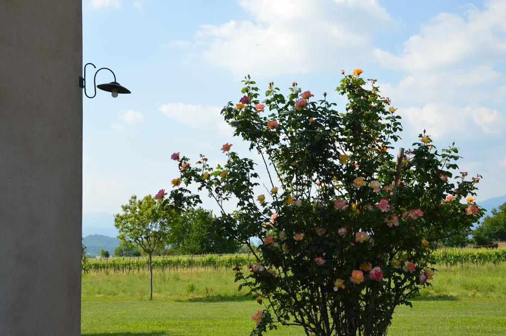 Agriturismo Morgan Montebelluna Extérieur photo