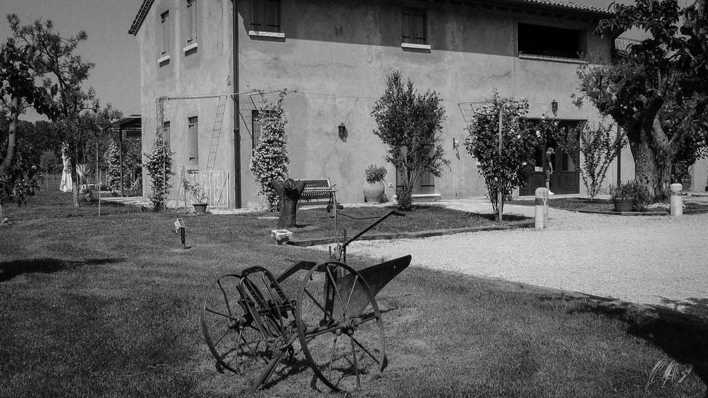 Agriturismo Morgan Montebelluna Extérieur photo